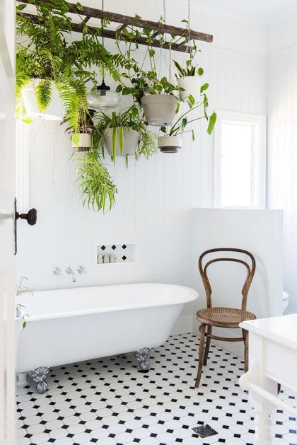 salle de bain avec plantes suspendues au dessus de la baignoire