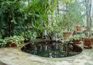 piscine naturelle jardin